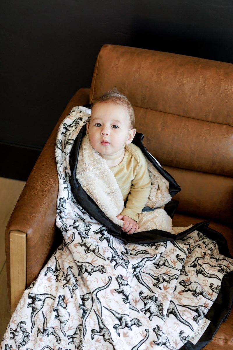 Big Dino Blanket