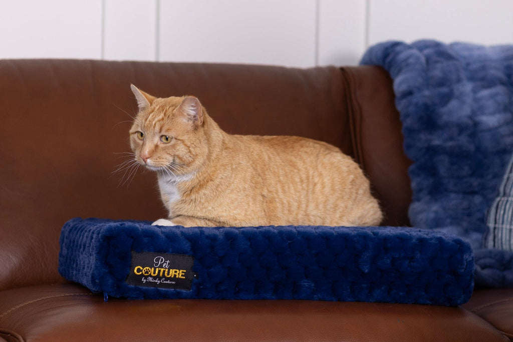 Blue Honeycomb Pet Crate Pad