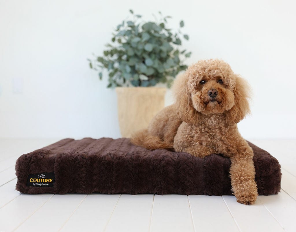 Brown Plume Pet Crate Pad
