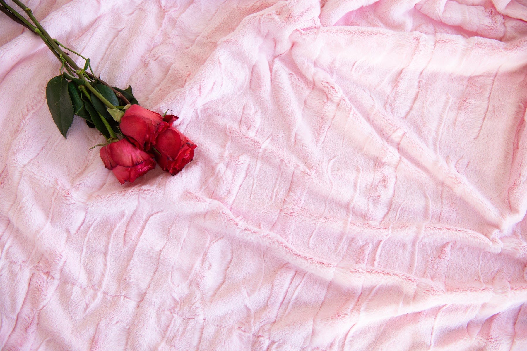 Sorbet True Pink Blanket