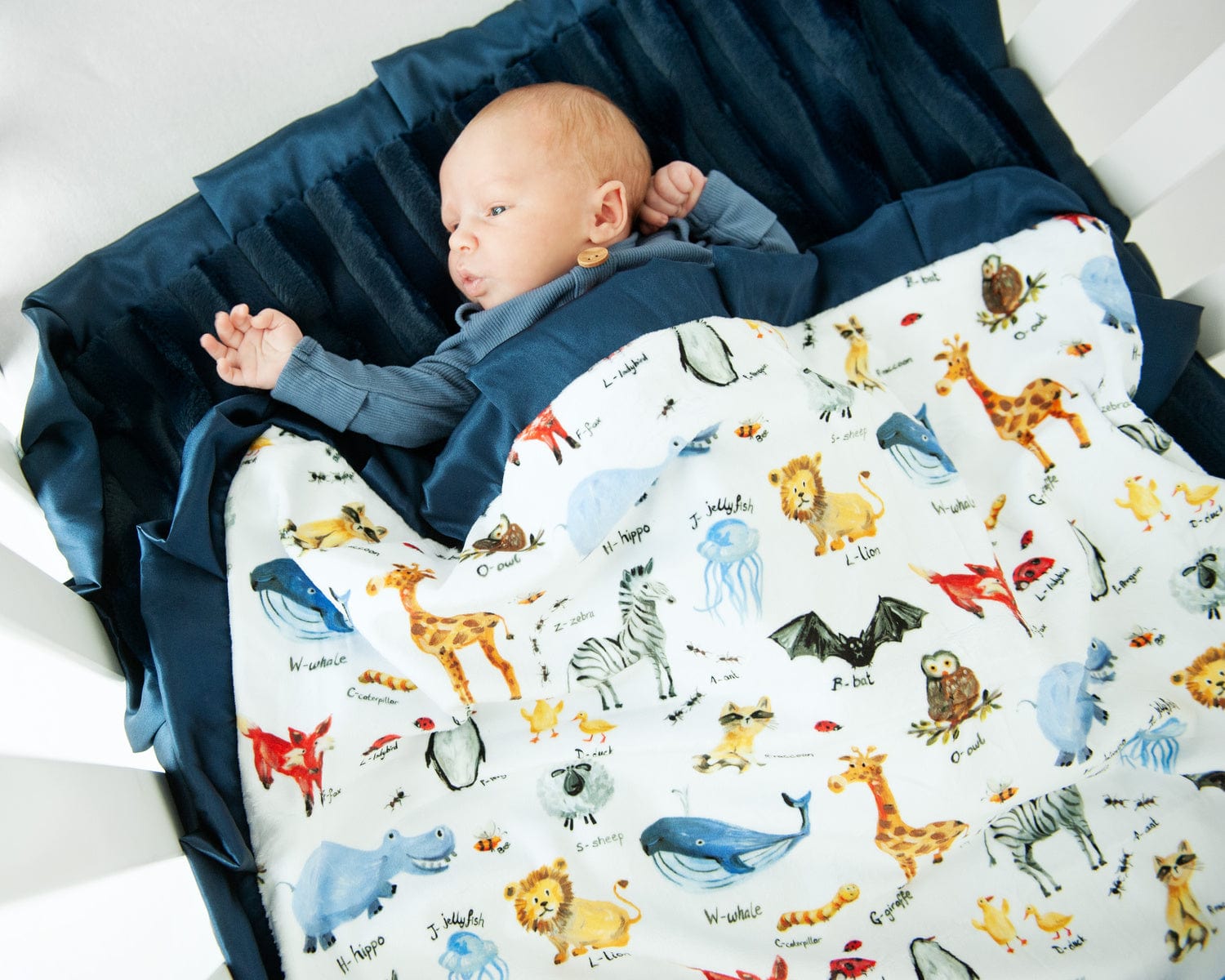 Baby in a blanket with zoo animals and their names on it