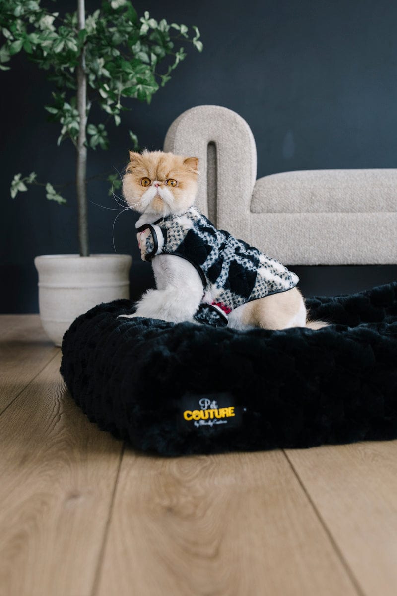 Pet Vest - City Plaid/Cream