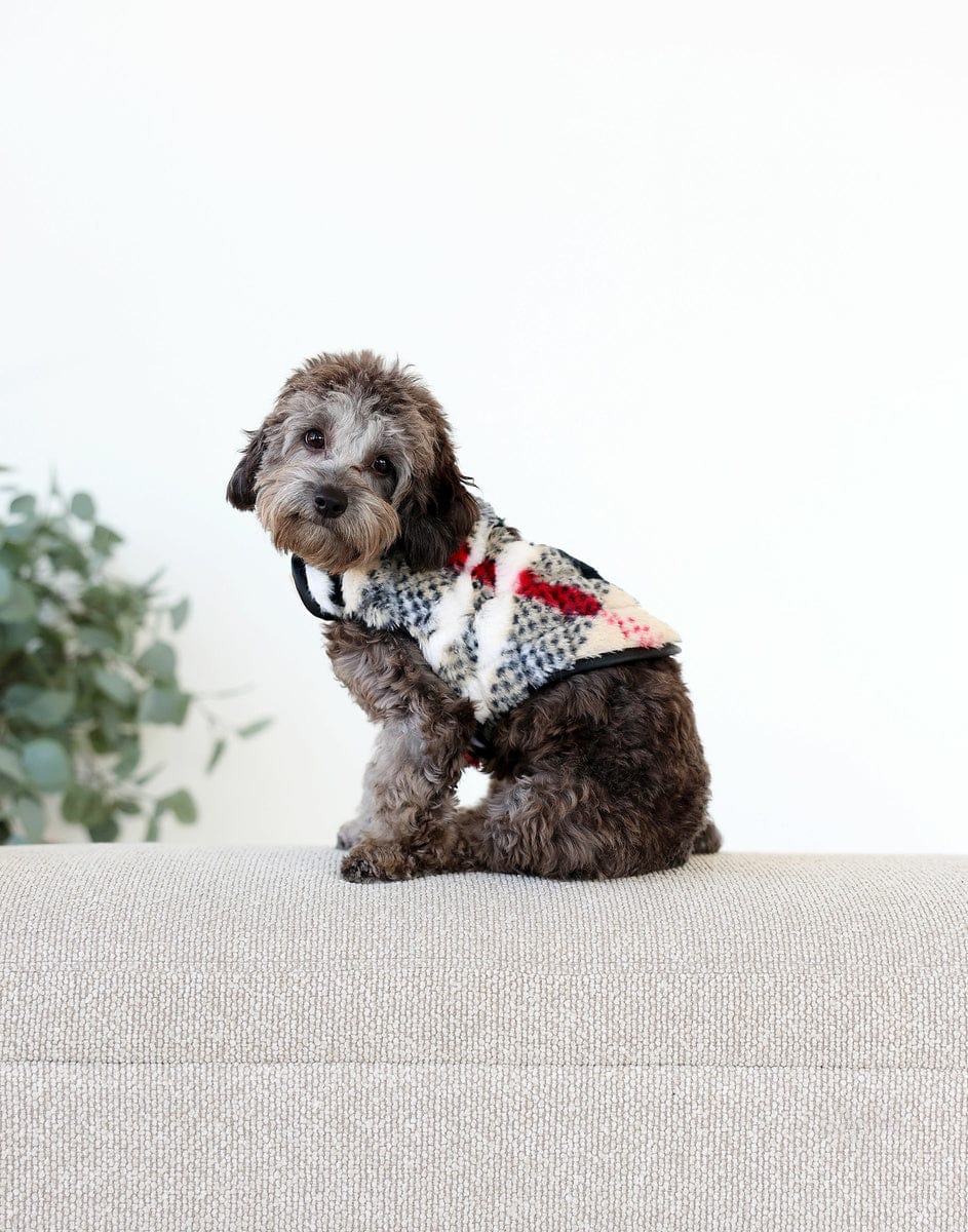 Pet Vest - City Plaid/Cream