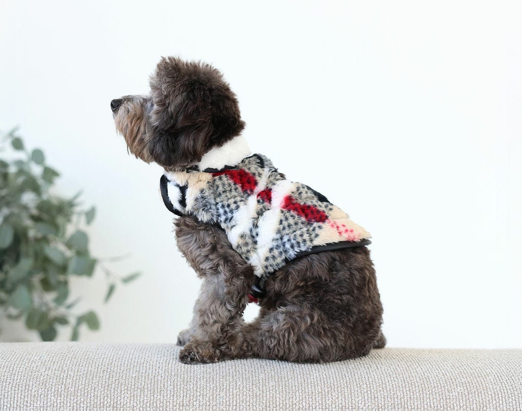 Pet Vest - City Plaid/Cream