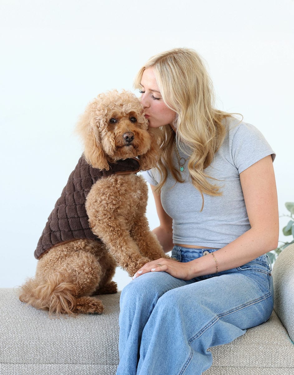 Pet Vest - Cream/Dark Brown