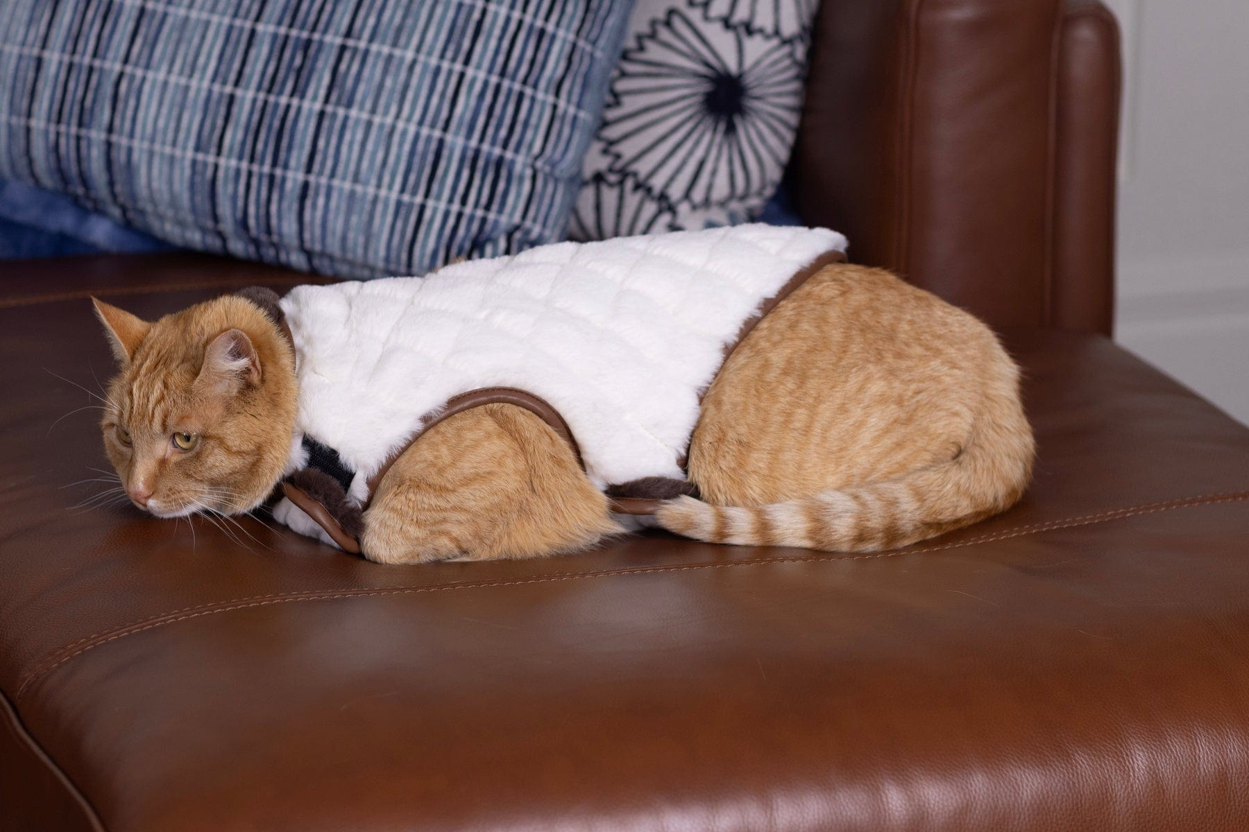 Pet Vest - Cream/Dark Brown