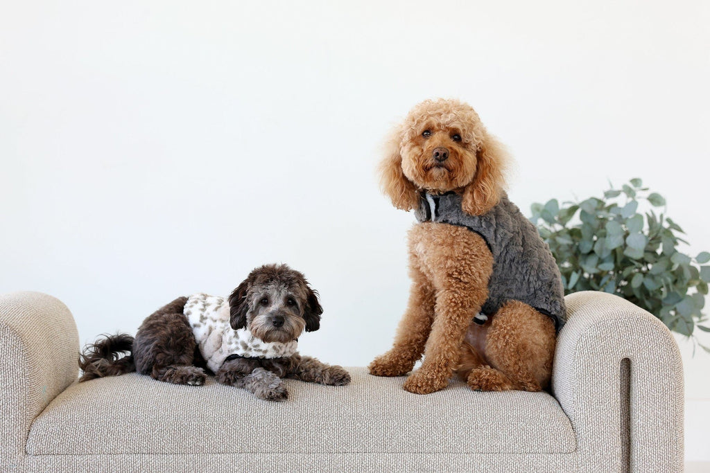 Pet Vest - Dark/Light Gray