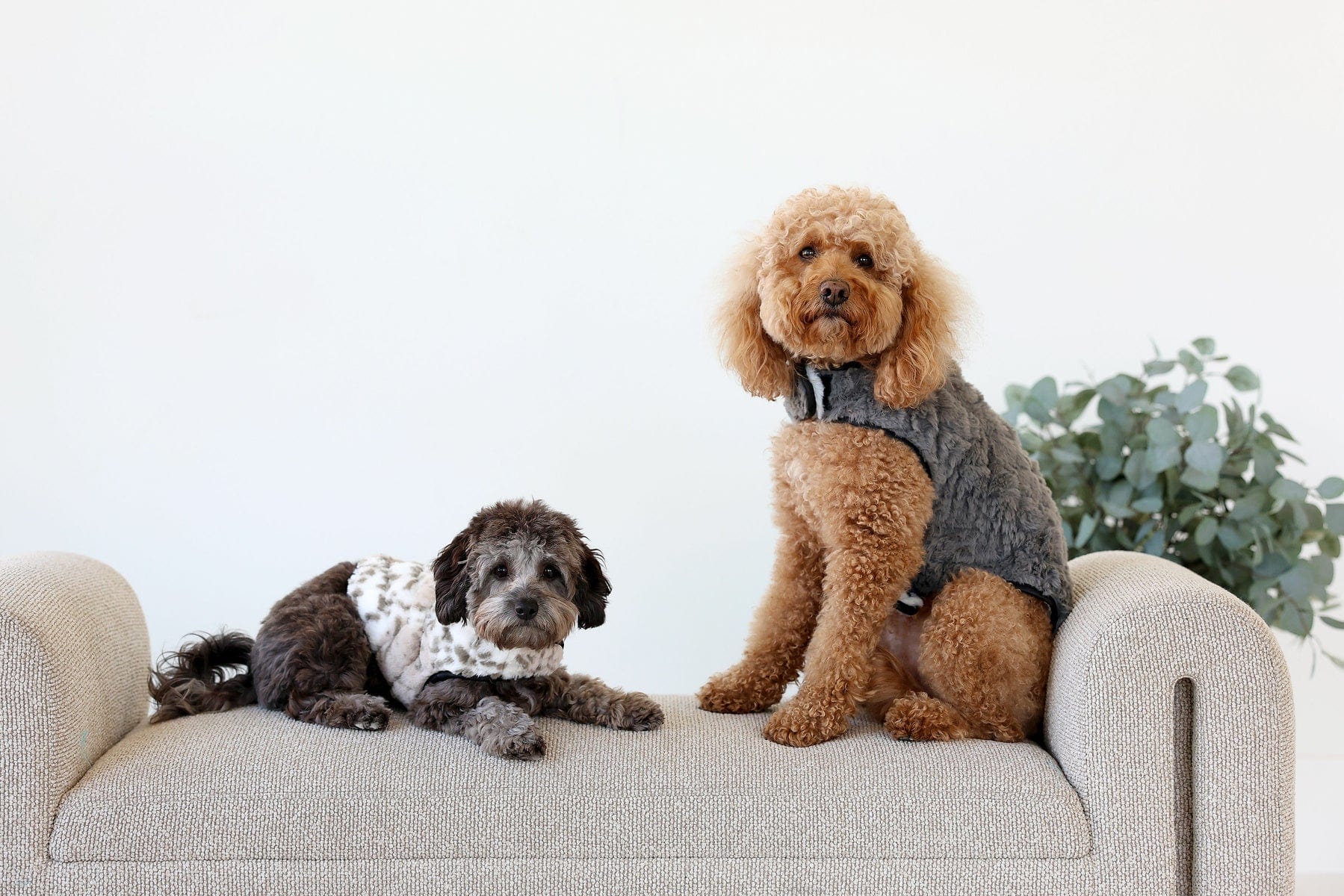 Pet Vest - Dark/Light Gray