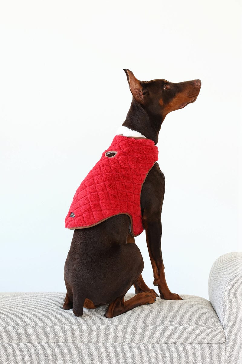 Pet Vest - Red/Cream