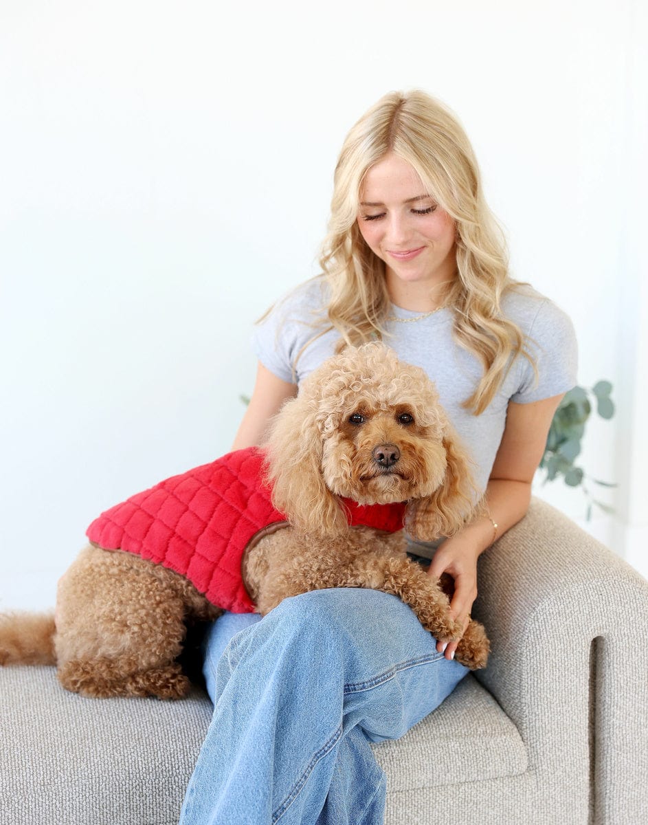 Pet Vest - Red/Cream