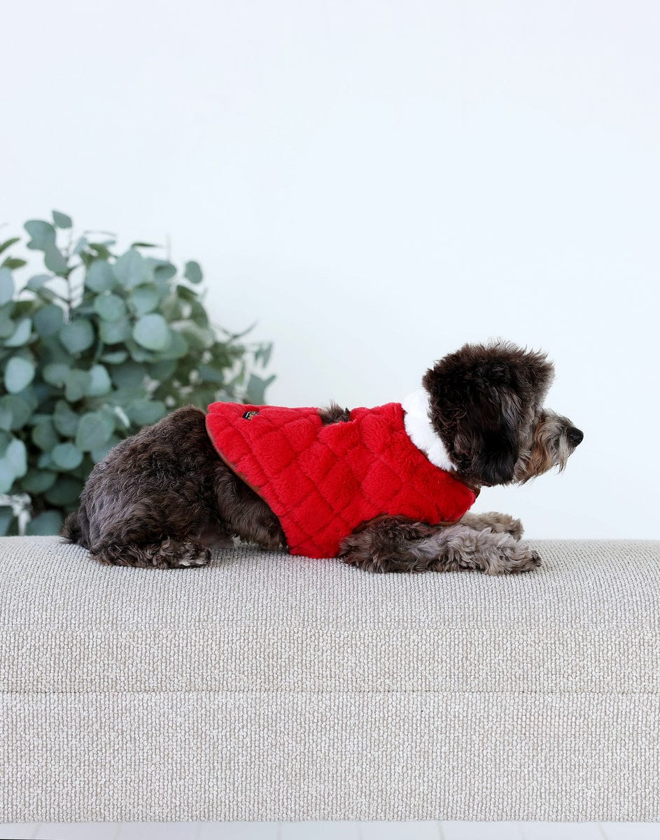 Pet Vest - Red/Cream