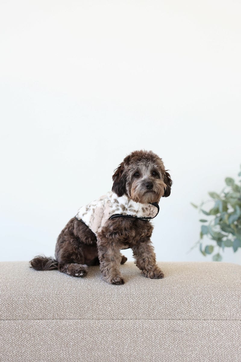 Pet Vest - Sandra/Light Gray
