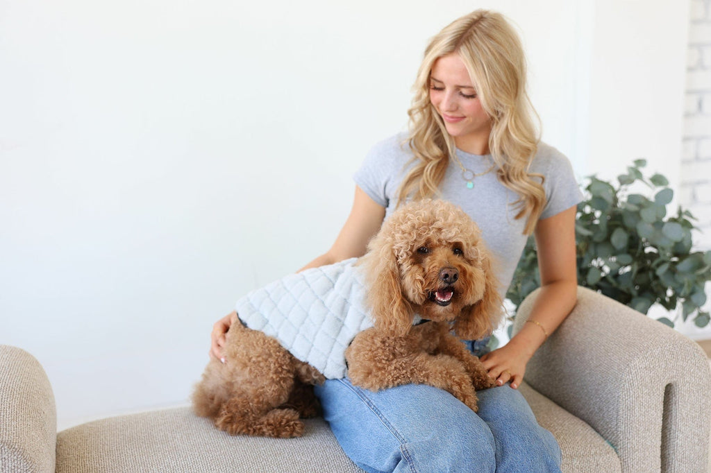 Pet Vest - Sandra/Light Gray