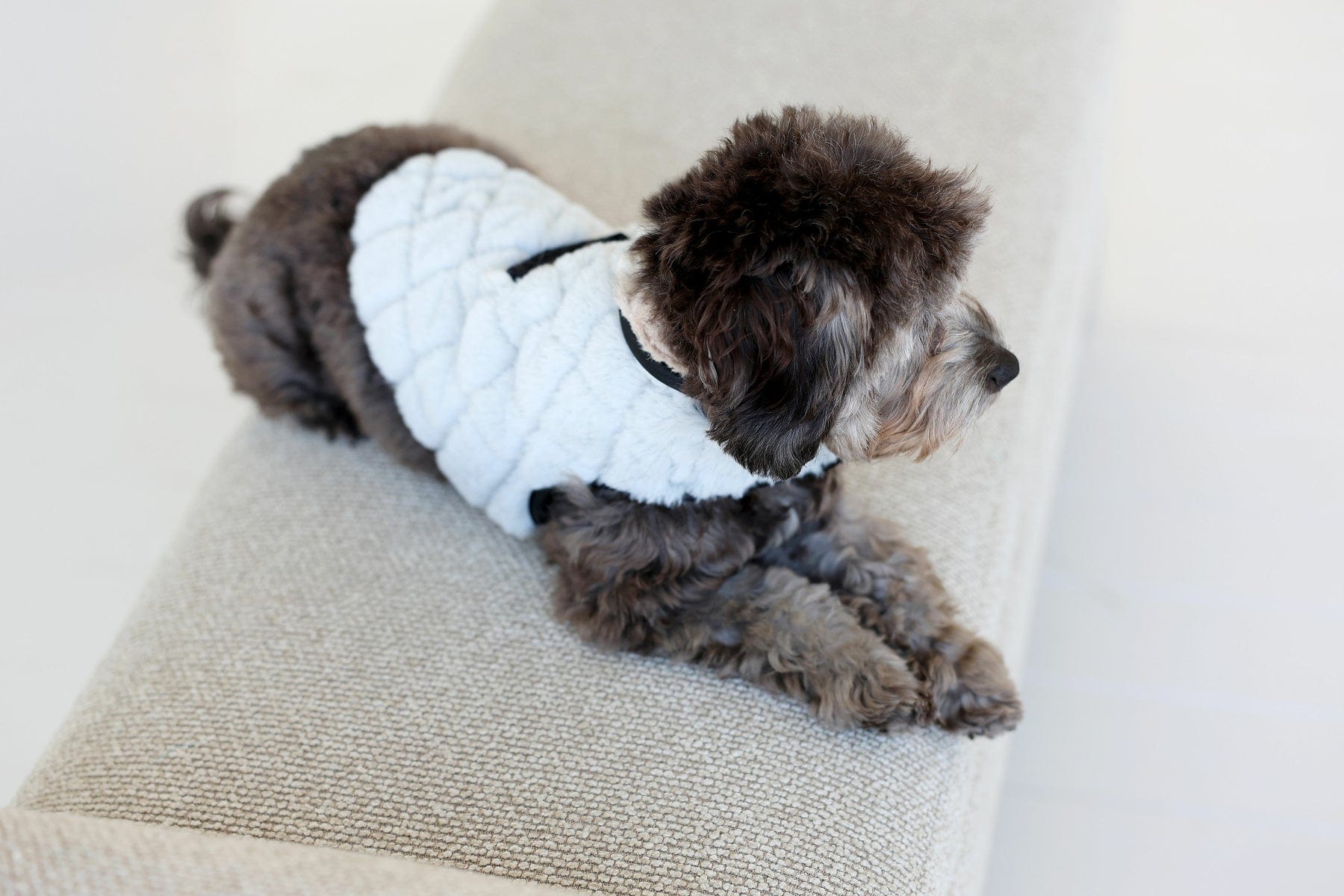 Pet Vest - Sandra/Light Gray