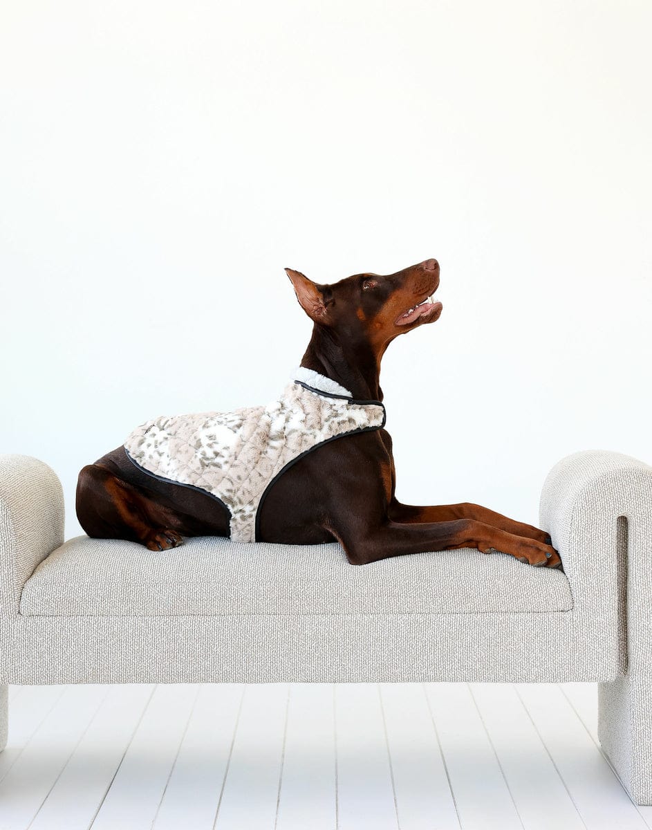 Pet Vest - Sandra/Light Gray