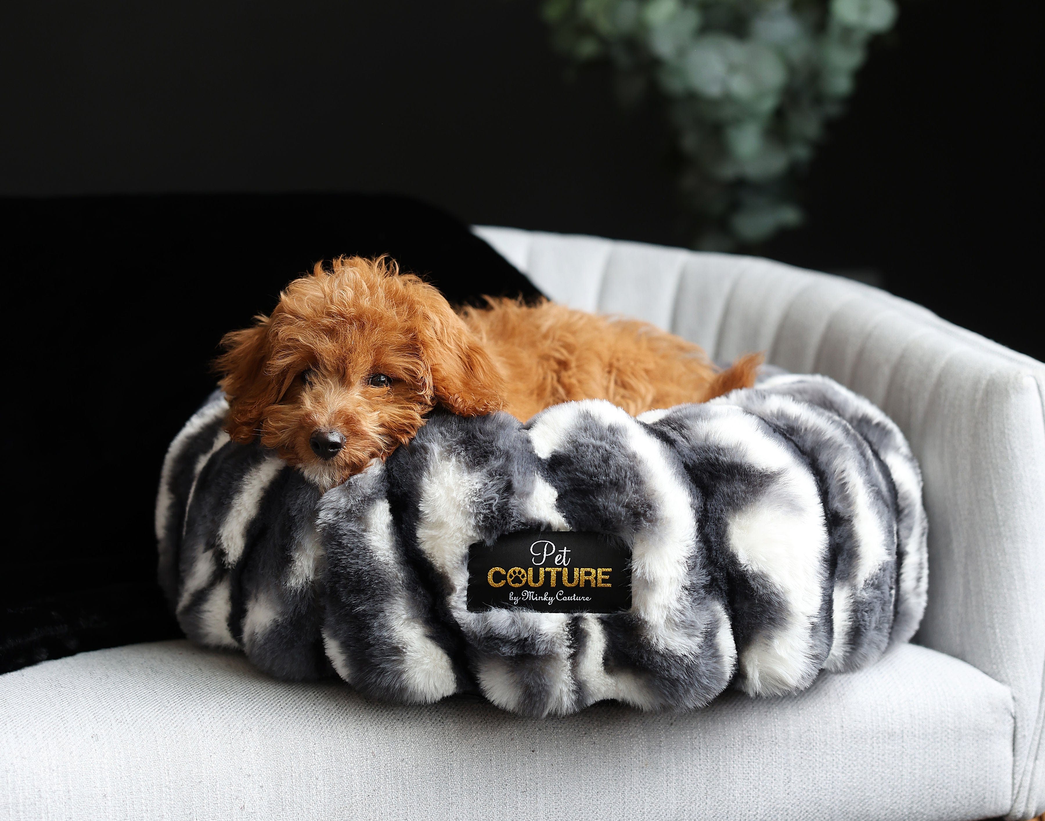 Cloudy Day Black Pet Bed