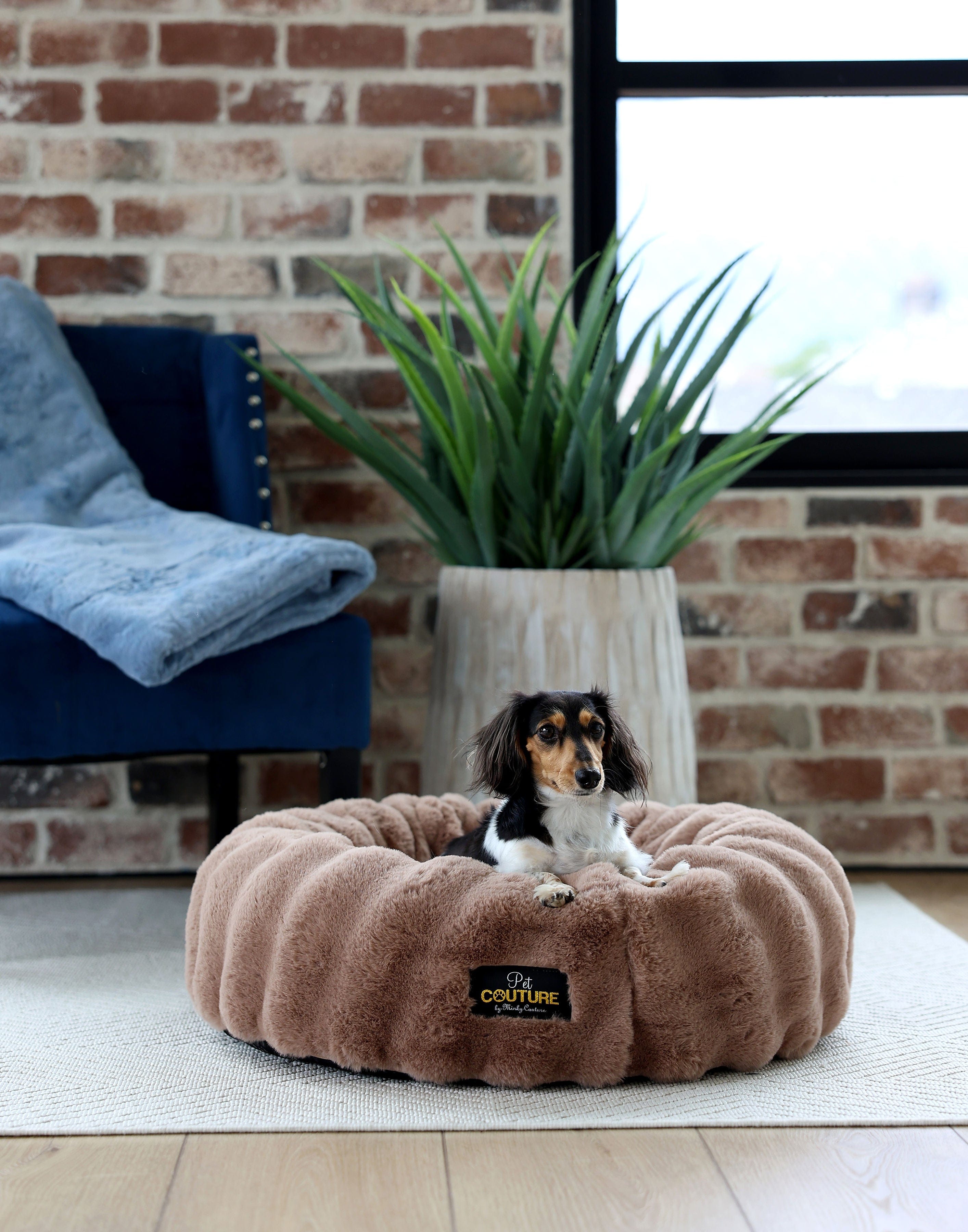 Milk Chocolate Pet Bed