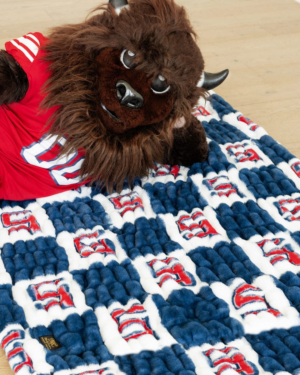 Hugs Utah Tech Trailblazers Blanket
