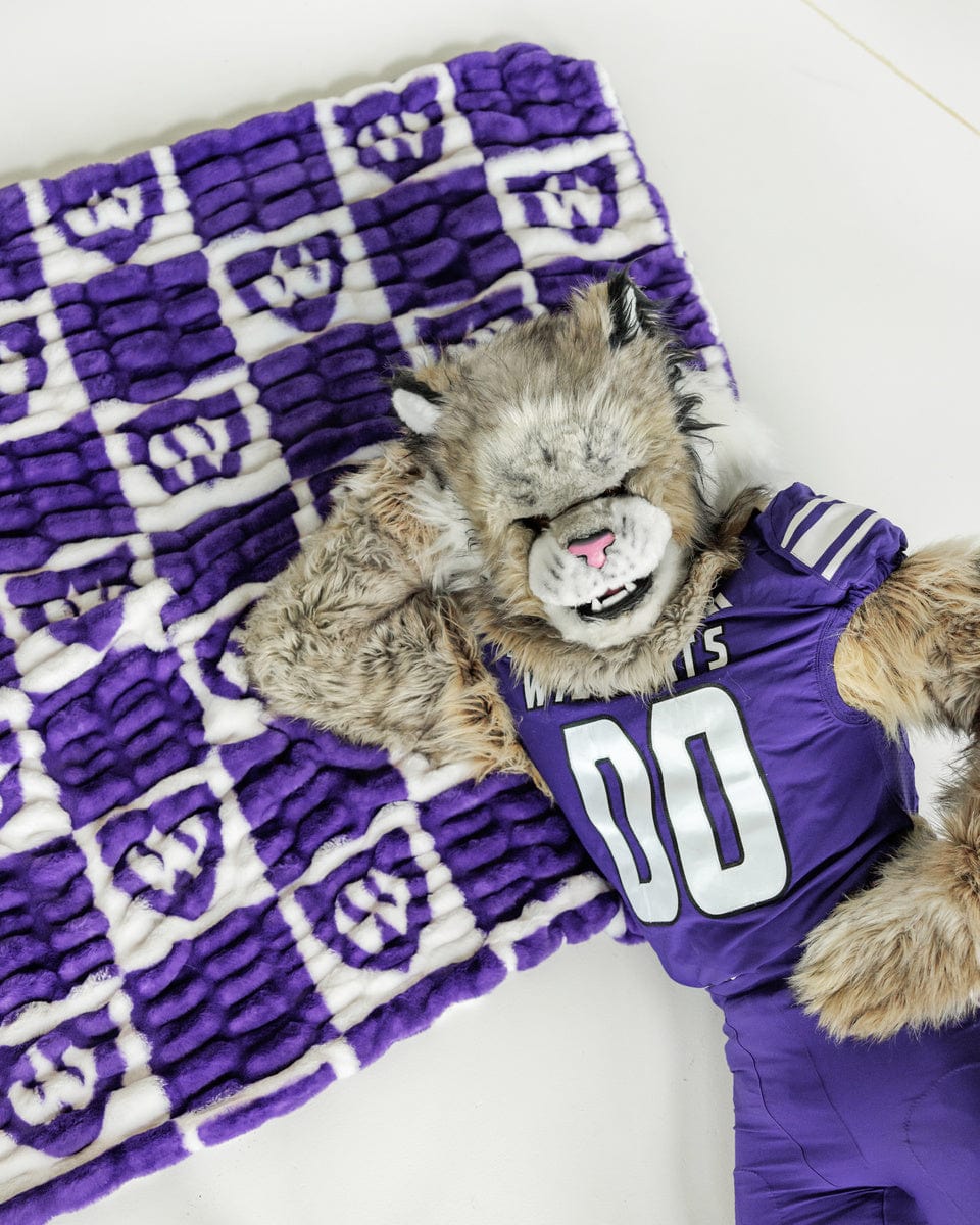 Hugs Weber State Wildcats Blanket