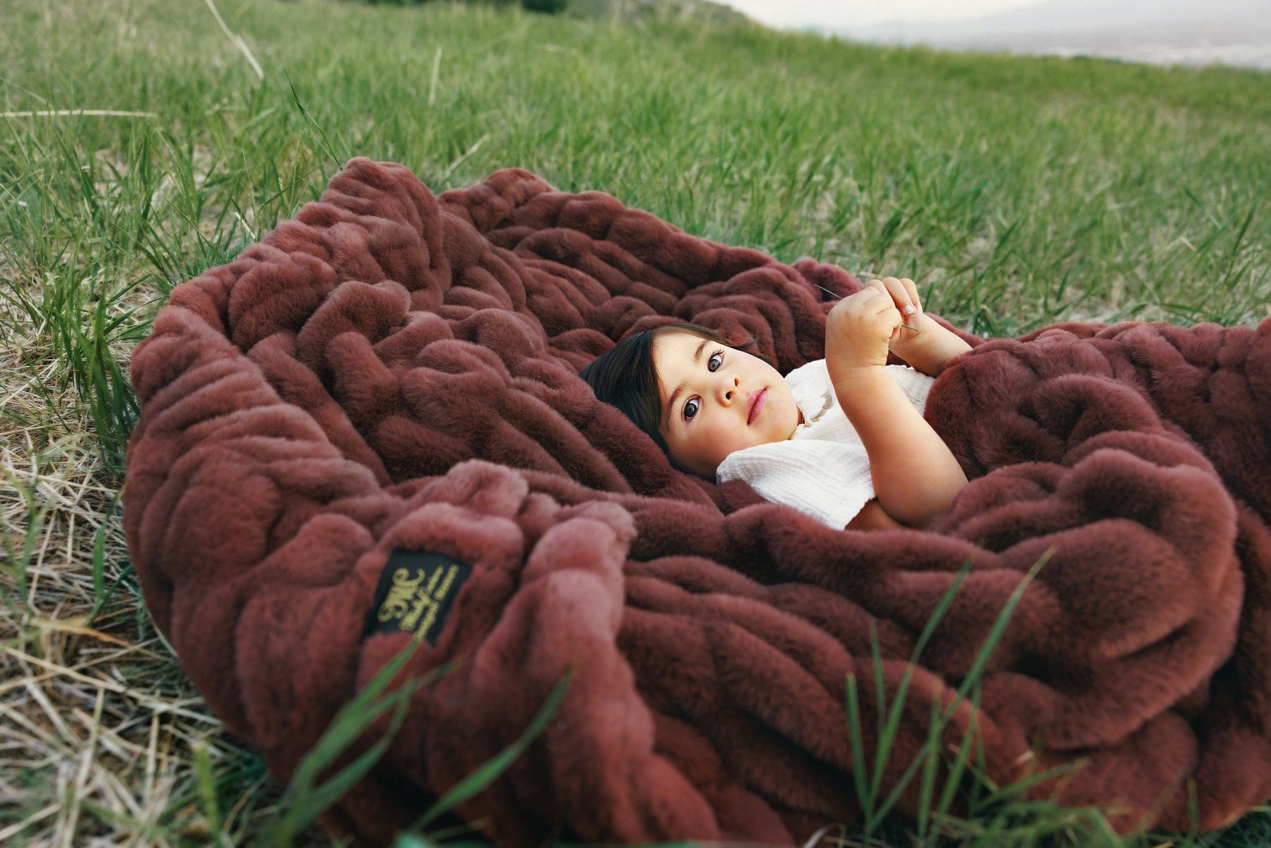 Hugs Rich Mahogany Blanket