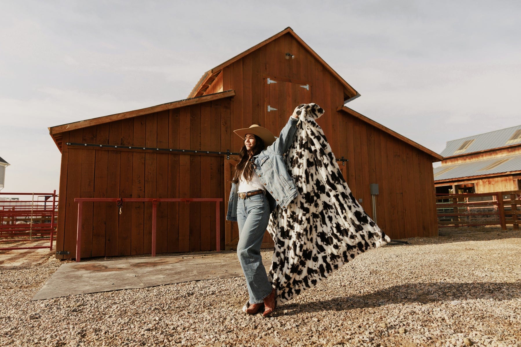 Hugs Black Cow Blanket